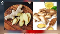 Disadvantage of Ginger: ਆਓ ਜਾਣਦੇ ਹਾਂ, ਅਦਰਕ ਦੇ ਜ਼ਿਆਦਾ ਸੇਵਨ ਨਾਲ ਸਰੀਰ ਨੂੰ ਹੋਣ ਵਾਲੇ ਨੁਕਸਾਨ ਬਾਰੇ