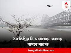 West Bengal Weather : নভেম্বরেই শীতের কাঁপুনি, এই জেলাগুলিতে ১৫ ডিগ্রিতে নামবে পারদ