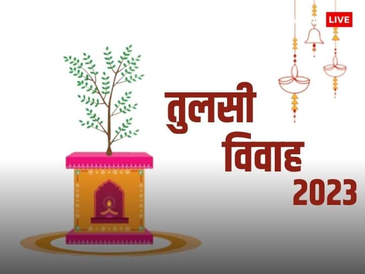 Tulsi Vivah 2023: तुलसी विवाह साल 2023 में 24 नवंबर के दिन मनाया जाएगा. इस दिन तुलसी माता और भगवान शालिग्राम की पूजा की जाती है. साथ ही तुलसी माता के मंत्रों का जाप करने से बिगड़ काम बन जाते हैं.