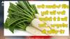Radish Ayurvedic Tips: ਜਾਣੋ ਸਰਦੀਆਂ ਵਿੱਚ ਮੂਲੀ ਕਦੋਂ ਖਾਣੀ ਚਾਹੀਦੀ ਹੈ ਤੇ ਕਦੋਂ ਨਹੀਂ... ਆਯੁਰਵੇਦ ਕੀ ਕਹਿੰਦਾ ਹੈ?