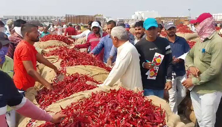 Rajkot News: Gondal Market Yard Janas Commodity things will exports to bangladesh in son, other states vepari has came in gondal Rajkot: ગોંડલ યાર્ડની મરચાં, ધાણા, જીરું સહિતની જણસની હવે બાંગ્લાદેશમાં થશે નિકાસ, ખરીદી માટે ત્રિપુરાના વેપારી પહોંચ્યા.....
