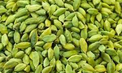 Health Tips: રસોડામાં રહેલો આ મસાલો કેન્સર પણ રોકી શકે છે, જાણો અન્ય ફાયદાઓ