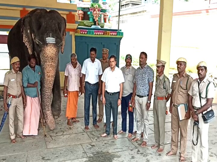 மாயூரநாதர் கோயில் யானை பராமரிப்பு குறித்து வனத்துறையினர் ஆய்வு