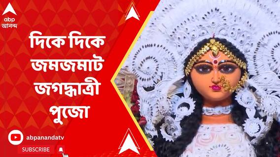 দিকে দিকে জমজমাট জগদ্ধাত্রী পুজো, দেখুন বাঘাযতীন ও গড়িয়ার দুই পুজো