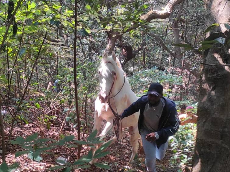 Satara Mahabaleshwar Accident Horse Riding Horse with a tourist fell into a valley Both are injured महाबळेश्वरमध्ये रपेट मारण्यासाठी घोड्यावर बसला, पण अचानक घोडा उधळला; पर्यटकासह घोडा दरीत कोसळला अन् पुढे...