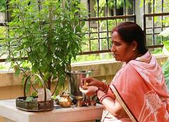 Good Morning Tips : સવારે ઉઠીને તુલસીને જળ આપવાનું છે મહત્વ, બનાવો તેને નિત્યક્રમ