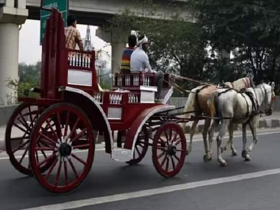 Wedding Season 2023: वेडिंग सीजन में बढ़ी घोड़ी-बग्घी की डिमांड, किराया भी कई गुना बढ़ा Wedding Season 2023: वेडिंग सीजन में बढ़ी घोड़ी-बग्घी की डिमांड, किराया भी कई गुना बढ़ा