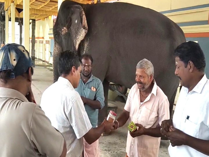 மாயூரநாதர் கோயில் யானை பராமரிப்பு குறித்து வனத்துறையினர் ஆய்வு