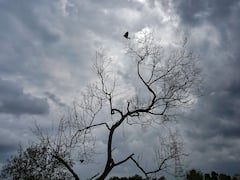 26న బంగాళాఖాతంలో అల్పపీడనం - తెలుగు రాష్ట్రాలకు వర్ష సూచన - ఐఎండీ