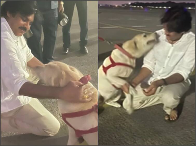 pawan kalyan interesting post on a dog goes viral on social media Pawan Kalyan: డాగ్ స్క్వాడ్‌తో పవర్ స్టార్ ఆటలు, నెట్టింట్లో వీడియో వైరల్