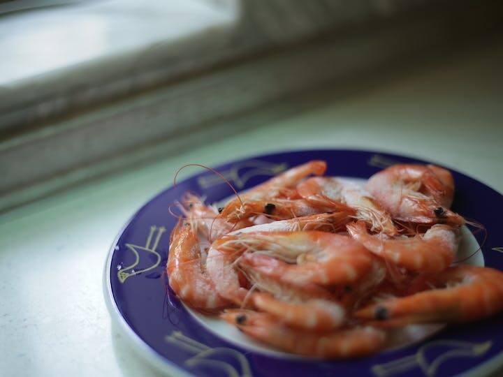 Prawns Cultivation: दुनिया भर में लोग मछली खाने के शौकीन है. आजकल झींगा मछली की डिमांड काफी बढ़ गई है. इस मछली को दुनिया भर में बेहद ही स्वाद लेकर खाया जाता है. ये खेती बेहद ही लाभदायक व्यवसाय है. इस व्यवसाय से लोग लाखों रुपये की कमाई कर सकते हैं.