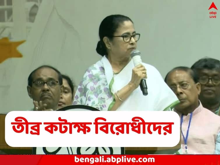 WB CM Mamata Banerjee slams CPM and other oppositions over Employment issue Mamata Banerjee: MSME থেকে IT, কর্মসংস্থানে এগিয়ে বাংলা, বললেন মমতা, CPM-এর কান মুলে দেওয়ার নিদানও