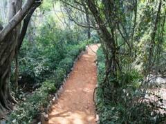 DDA पार्कों के कायाकल्प की तैयारी, युवाओं के स्किल डेवलपमेंट से जुड़ी गतिविधियों पर होगा फोकस