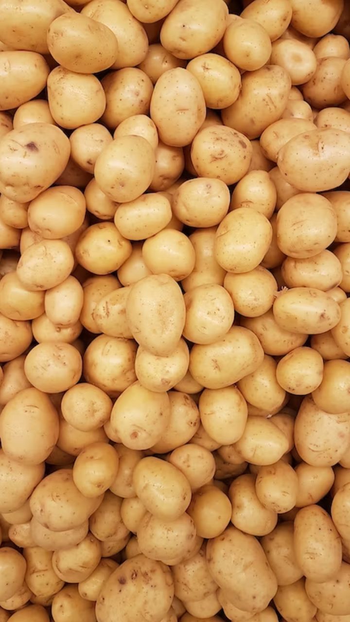 உருளைக்கிழங்கை பேப்பர் பைகளில் ஸ்டோர் செய்யலாம்