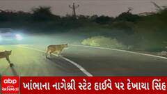 ABP News
