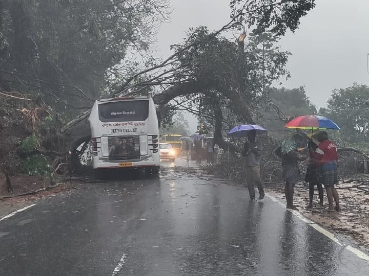 குன்னூர் அருகே மரம் முறிந்து அரசுப் பேருந்து மீது விழுந்தது.