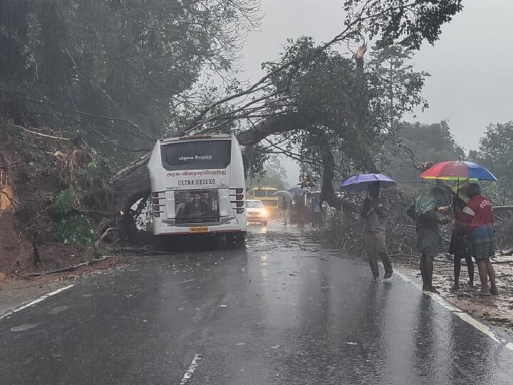 கனமழையால் குன்னூர், கோத்தகிரி சாலைகளில் மண் சரிவு ; போக்குவரத்து பாதிப்பு