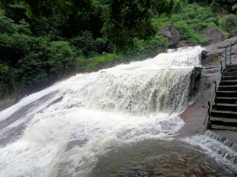 Tourists are banned again due to flooding in Covai kutralam Falls due to continuous rains தொடர் மழையால் கோவை குற்றாலம் அருவிகளில் வெள்ளப்பெருக்கு; சுற்றுலா பயணிகளுக்கு மீண்டும் தடை!