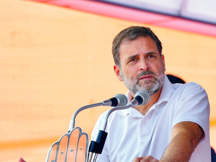 Delhi High Court Asks Police TO Respond To Plea Seeking FIR Against Rahul Gandhi Delhi HC Asks Police To Respond To Plea Against Rahul Gandhi For Revealing Rape Victim's Identity