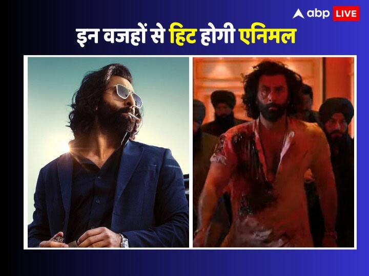 Ranbir Kapoor Bobby Deol Animal Trailer Movie Beat Salman Khan Tiger 3 Will Develop into Excess Good fortune At Field Place of job Know Right here Why?