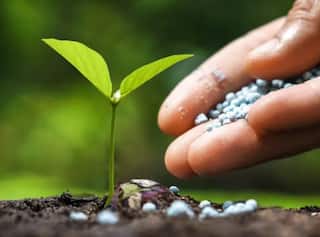 दहावीनंतरही करता येणार खते आणि बियाणांचा व्यवसाय, पण सरकारनं घातल्या 'या' अटी