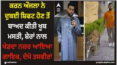 Karan Aujla: ਕਰਨ ਔਜਲਾ ਨੇ ਦੁਬਈ ਸ਼ਿਫਟ ਹੋਣ ਤੋਂ ਬਾਅਦ ਕੀਤੀ ਖੂਬ ਮਸਤੀ, ਸ਼ੇਰਾਂ ਨਾਲ ਖੇਡਦਾ ਨਜ਼ਰ ਆਇਆ ਗਾਇਕ, ਦੇਖੋ ਤਸਵੀਰਾਂ
