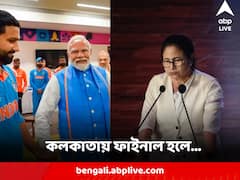 'আমি মনে করি, বিশ্বকাপ ফাইনাল কলকাতা বা ওয়াংখেড়েতে হলে আমরা জিততাম' বললেন মুখ্যমন্ত্রী
