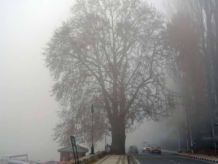 Weather Update 23 November 2023 In Jammu Kashmir Laddakh Temperature In Himalaya Delhi Uttarpradesh Tamilnadu
