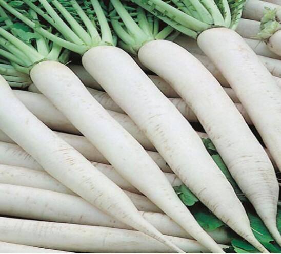 ਸੂਰਜ 'ਚ ਬੈਠ ਕੇ ਮੂਲੀ ਖਾਣਾ ਫਾਇਦੇਮੰਦ ਹੋ ਸਕਦਾ ਹੈ। ਇਸਦਾ ਮਤਲਬ ਹੈ ਕਿ ਦੁਪਹਿਰ ਨੂੰ ਮੂਲੀ ਖਾਣਾ ਸਭ ਤੋਂ ਵਧੀਆ ਹੋ ਸਕਦਾ ਹੈ।