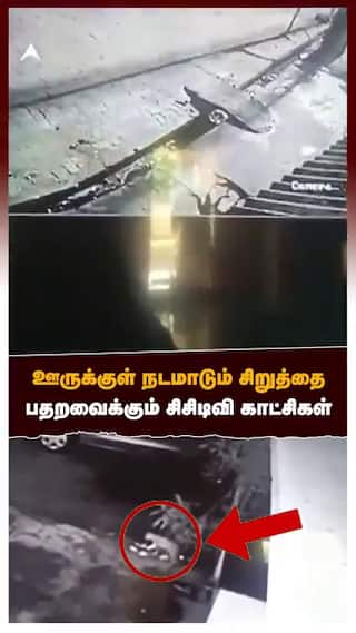 Cheetah CCTV Footage :ஊருக்குள் நடமாடும் சிறுத்தை பதறவைக்கும் சிசிடிவி காட்சிகள்