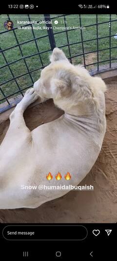 Karan Aujla: ਕਰਨ ਔਜਲਾ ਨੇ ਦੁਬਈ ਸ਼ਿਫਟ ਹੋਣ ਤੋਂ ਬਾਅਦ ਕੀਤੀ ਖੂਬ ਮਸਤੀ, ਸ਼ੇਰਾਂ ਨਾਲ ਖੇਡਦਾ ਨਜ਼ਰ ਆਇਆ ਗਾਇਕ, ਦੇਖੋ ਤਸਵੀਰਾਂ