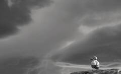 Utqiaġvik Civil Twilight: শনিবার বছরের শেষ সূর্যাস্ত, ২০২৪ সালে ফের সূর্যের দর্শন পাবে এই শহর