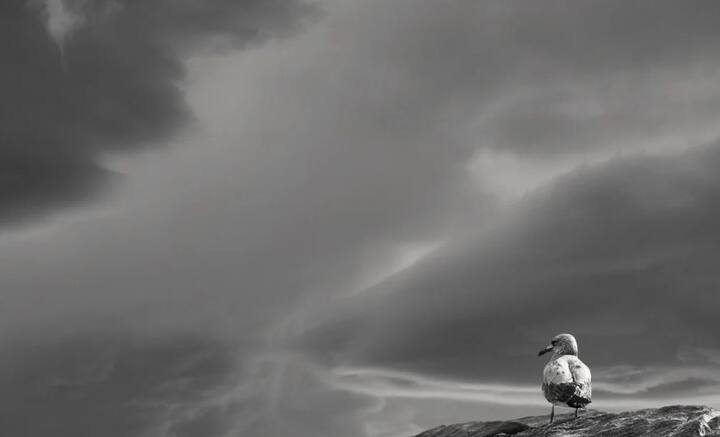 শনিবার শেষ বার দেখা মিলবে সূর্যের। তার পর জানুয়ারির শেষে সূর্যোদয়। দু’মাস ব্যাপী নিশাযাপনের প্রস্তুতি নিচ্ছে মেরুবৃত্তে অবস্থিত আলাস্কার উতকিয়াগভিক শহর।