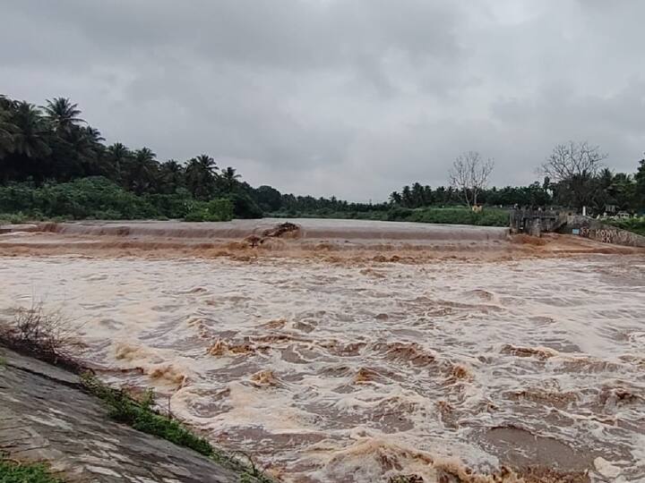 மேட்டுப்பாளையத்தில் நேற்று 37.3 செ.மீ. மழை கொட்டித் தீர்த்துள்ளது. இதேபோல சிறுவாணி அடிவாரத்தில் 9.9 செ.மீ‌, பெரியநாயக்கன்பாளையத்தில் 9.3 செ.மீ. மழை பொழிந்துள்ளது.