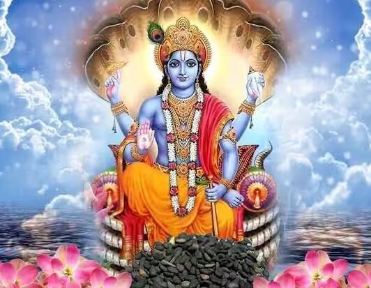 દેવ ઉઠી એકાદશીના દિવસે મનમાં કોઈના વિશે ખરાબ વિચાર ન લાવવા જોઈએ. આ દિવસે કોઈને ખરાબ ન બોલવું જોઈએ.