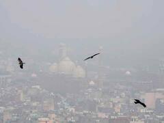 Air Pollution: जहरीली हवा भी नहीं बिगाड़ पाएगी कुछ, बस फॉलो करें ये टिप्स
