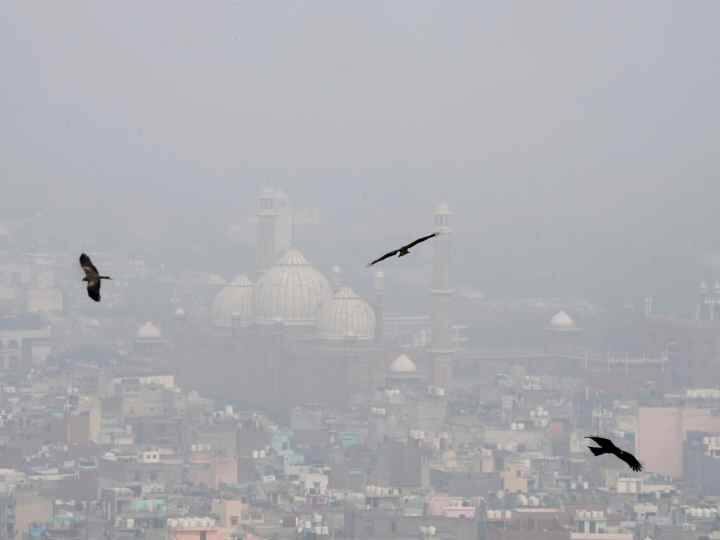 Health Tips for Air Pollution: डॉक्टर्स के अनुसार, प्रदूषण जब मस्तिष्क को नुकसान पहुंचाता है तो याददाश्त कमजोर होने के साथ ही अल्जाइमर जैसी बीमारियां हो जाती हैं.