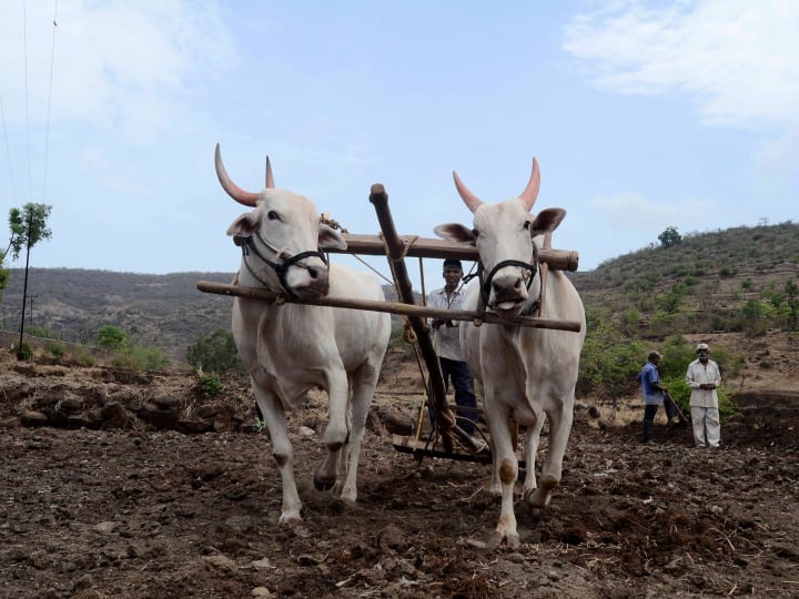 Maharashtra farmers loans CM Eknath Shinde Congress Vijay Wadettiwar Shiv Sena UBT Kishore Tiwari Reaction Maharashtra Farmer Loan: कर्ज में डूबे महाराष्ट्र के किसान, CM से कहा- 'हमारे शरीर के अंगों को बेचकर बकाया ऋण वसूल करें'