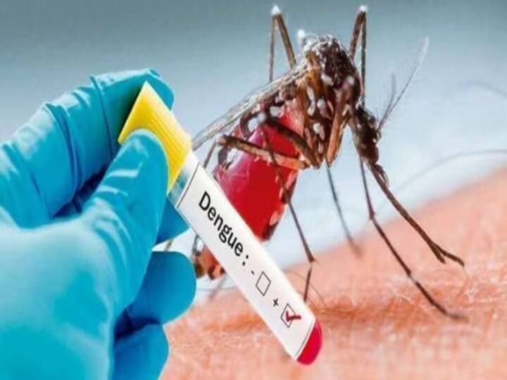 what to do and what not to do to prevent dengue   Dengue : ડેંગ્યૂથી બચવા શું કરવું- શું નહી ? સ્વાસ્થ્ય મંત્રાલયે આપી મહત્વપૂર્ણ જાણકારી  