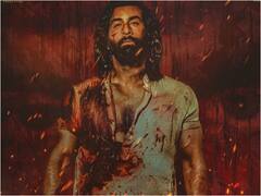 ‘యానిమల్‌’లోనూ అదే ఫార్ములా - ఆ గన్‌ను విడిచిపెట్టరా?