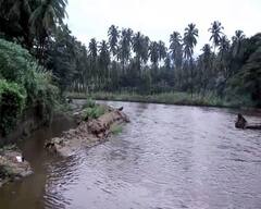 போடி ஆற்றில் கரைபுரண்டு ஓடும் வெள்ளபெருக்கு!