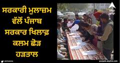 Punjab News: ਸਰਕਾਰੀ ਮੁਲਾਜ਼ਮ ਵੱਲੋਂ ਪੰਜਾਬ ਸਰਕਾਰ ਖਿਲਾਫ਼ ਕਲਮ ਛੋੜ ਹੜਤਾਲ, ਪੁਤਲਾ ਫੂਕ ਕੇ ਕੀਤਾ ਰੋਸ ਪ੍ਰਦਰਸ਼ਨ