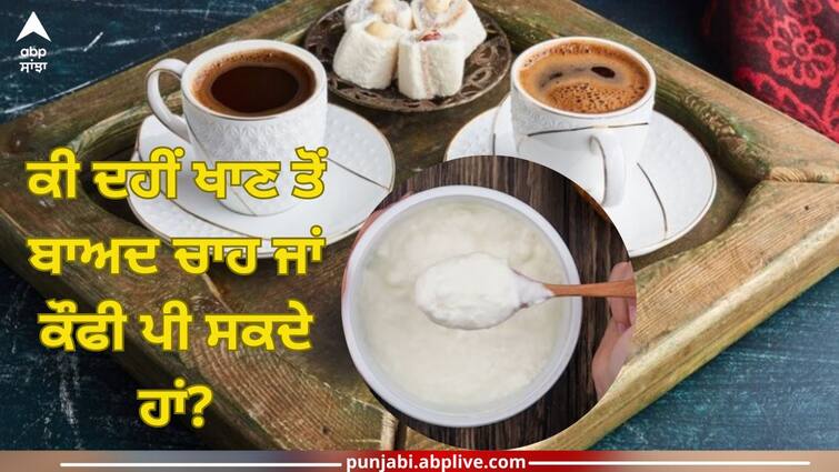 Curd Vs Tea Coffee: Can I drink tea or coffee after eating curd? Let's find out what is the truth Curd Vs Tea Coffee: ਕੀ ਦਹੀਂ ਖਾਣ ਤੋਂ ਬਾਅਦ ਚਾਹ ਜਾਂ ਕੌਫੀ ਪੀ ਸਕਦੇ ਹਾਂ? ਆਓ ਜਾਣਦੇ ਹਾਂ ਕੀ ਹੈ ਸੱਚ!