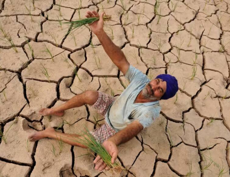 gujarat climate change survey environmental problems farmers are struggling with unseasonal rains and agricultural losses Farmer News: ਬਦਲਦੇ ਮੌਸਮ ਦੀ ਸਭ ਤੋਂ ਵੱਧ ਮਾਰ ਝੱਲ ਰਹੇ ਨੇ ਕਿਸਾਨ ! ਬੇਮੌਸਮੇ ਮੀਂਹ ਤੇ ਸੋਕੇ ਨੇ ਤੋੜਿਆ ਕਿਰਸਾਨੀ ਦਾ ਲੱਕ