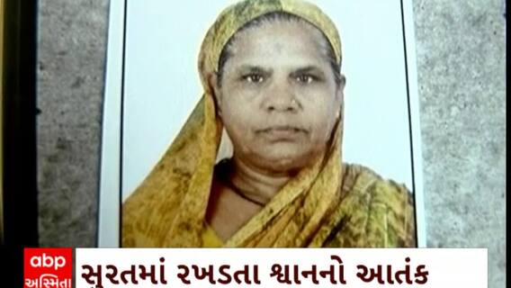 Surat news : સુરતમાં રખડતા શ્વાનને લીધે વધુ એક નિર્દોષે ગુમાવ્યો જીવ