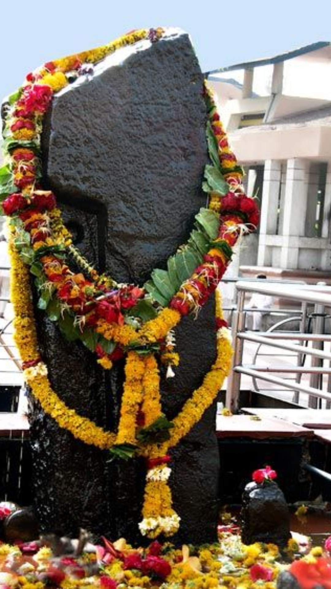 शनि के कुंभ राशि में होने से कर्क व