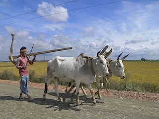 PM Kisan 16th Installment: ક્યારે મળશે પીએમ કિસાનનો 16મો હપ્તો? જાણો યોજના માટે અરજી કરવાની રીત
