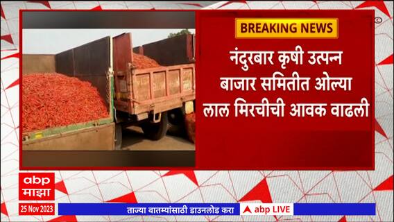 Nandurbar Mirchi market : नंदुरबार कृषी उत्पन्न बाजार समितीत ओल्या लाल मिरचीची आवक वाढली