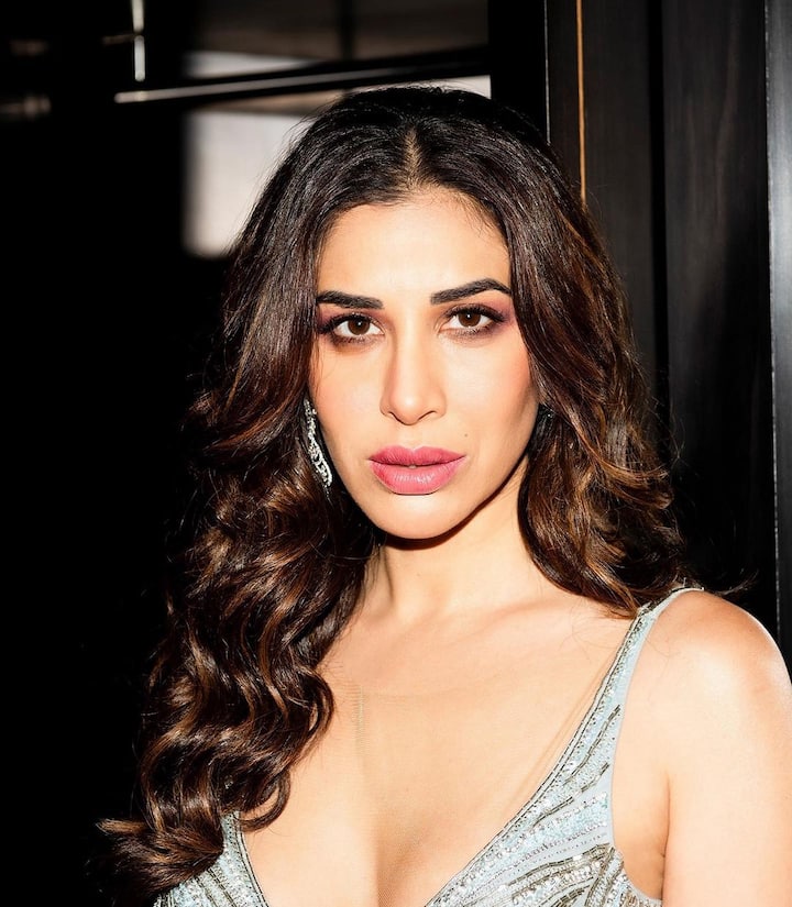 ચાહકો પણ સૌફી ચૌધરીની આ તસવીરોને લાઈક કરી રહ્યા છે.