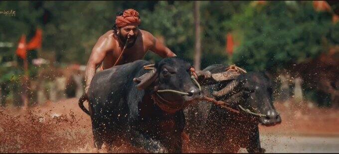 கடந்த ஆண்டு செப்டம்பர் மாதம் வெளியாகி சூப்பர் ஹிட் அடித்த படம் காந்தரா.